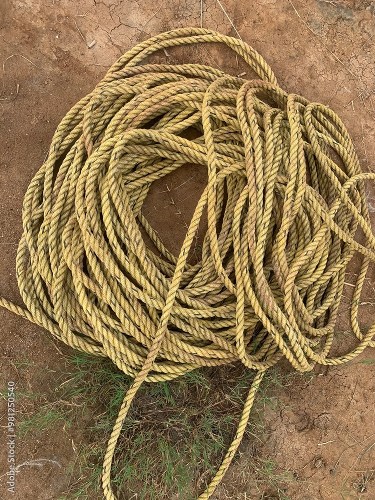close up shot of twisted rope in the field close up shot of twisted rope in the field