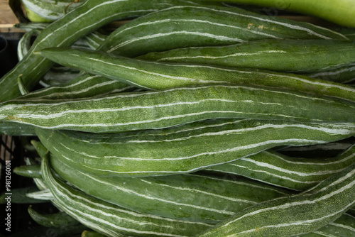 Canvastavla Close-up of fresh green snake gourds, Trichosanthes cucumerina, with distinctive white longitudinal stripes displayed at a vegetable market