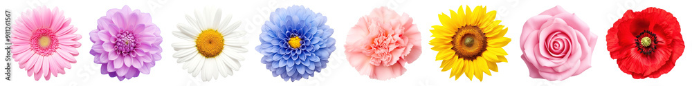Realistic flower png cut out element set Realistic flower png cut out element set