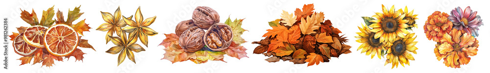 Autumn harvest png cut out element set Autumn harvest png cut out element set