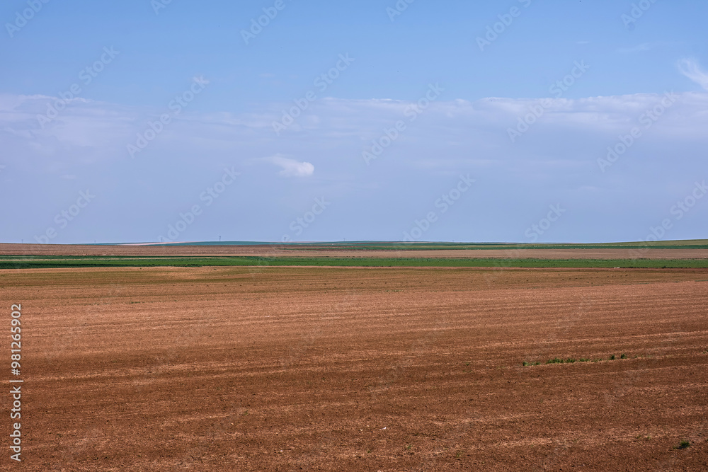 Vast, Open Field - A flat expanse of farmland stretching under a clear, expansive sky, capturing the simplicity and serenity of rural landscapes. Vast, Open Field - A flat expanse of farmland stretching under a clear, expansive sky, capturing the simplicity and serenity of rural landscapes.