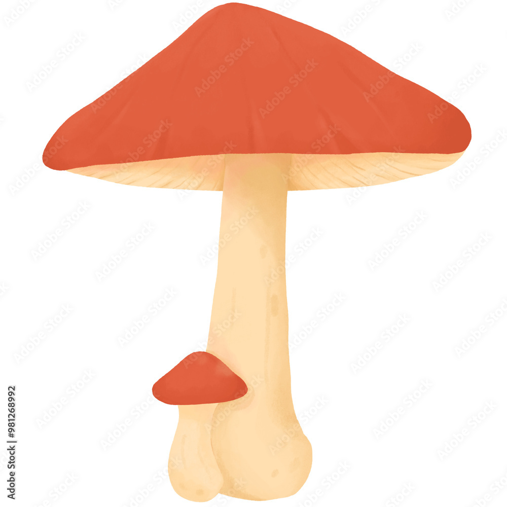 Red Mushroom Illustration with Small Mushroom Red Mushroom Illustration with Small Mushroom