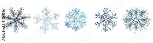 A collection of beautiful, intricate snowflakes showcasing unique shapes and delicate patterns on a white background.