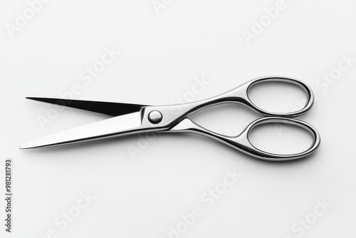 Stainless Steel Herb Scissors: Culinary Cutting Precision