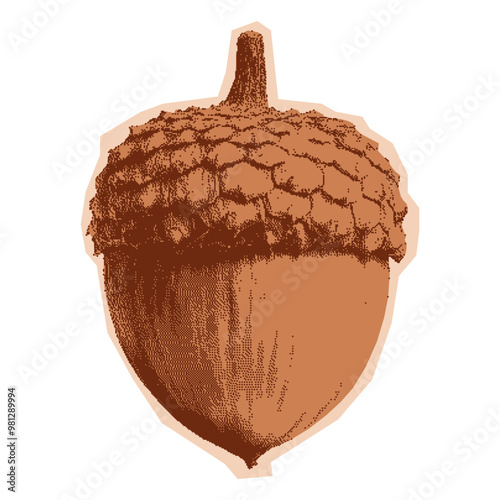 Halftone acorn. Scrapbook cutout element with photocopy texture. Collage monochrome for poster, t-shirt prints, invitations, menus. Thanksgiving concept.