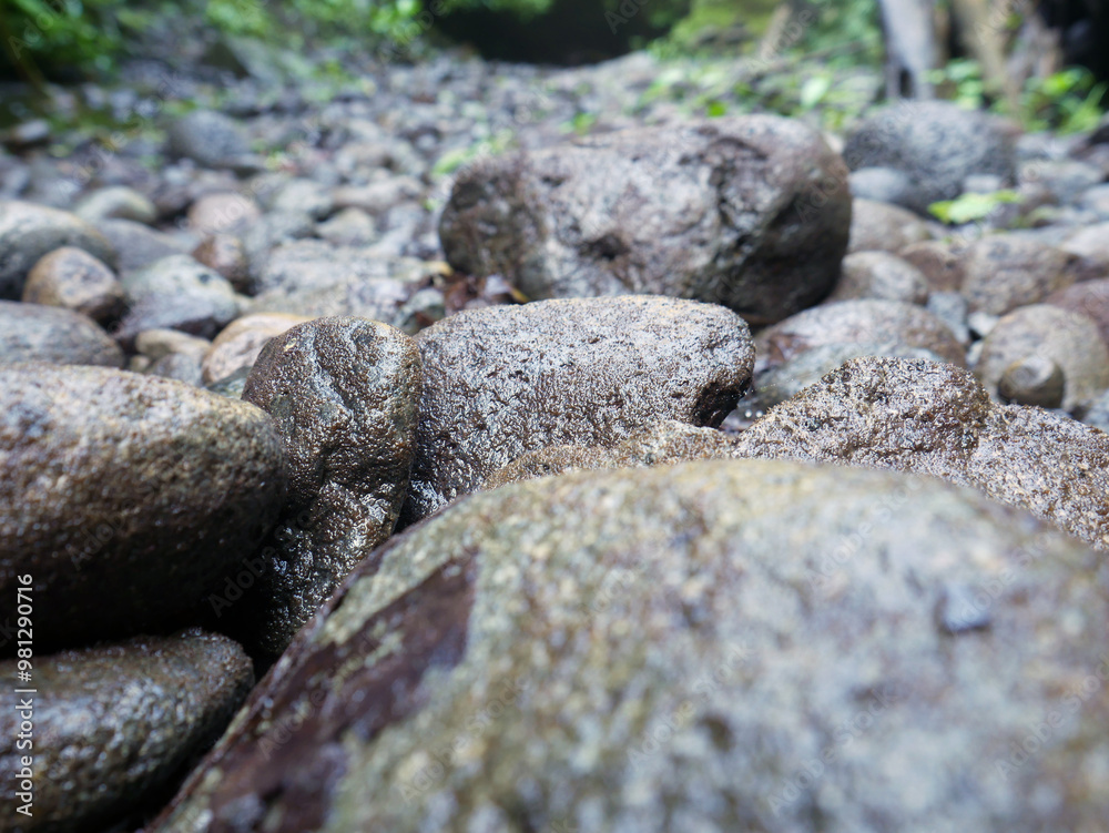 River stone in a tropical forest River stone in a tropical forest