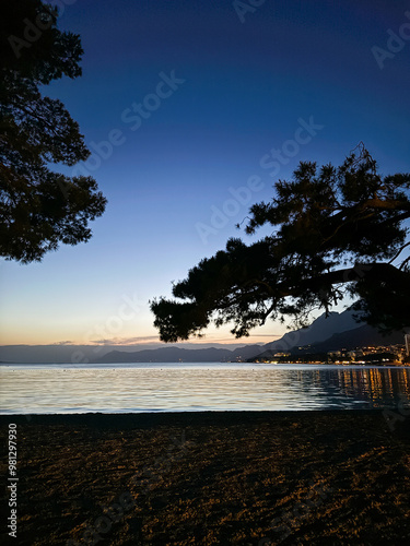 sunset on the sea with silhouettes of trees