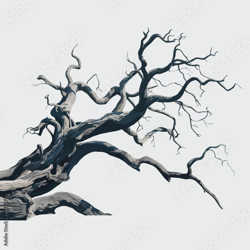 Gnarled, dead tree with twisted branches, isolated on a white background