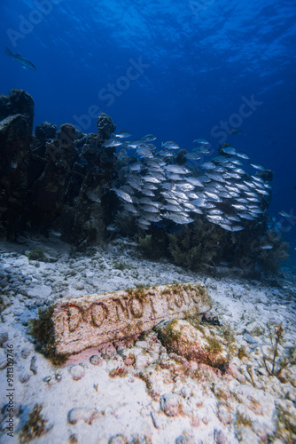 Фотография Artificial reef at mexico musa isla mujeres don't touch