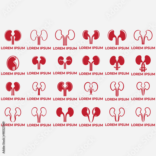  collection of kidney logos