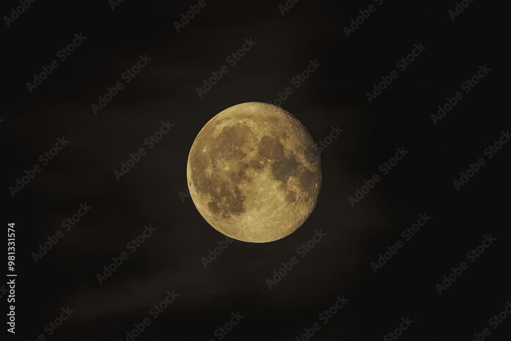 Obraz premium Round Moon Floating in the Night Sky