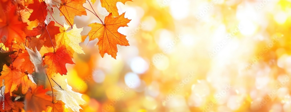 Close-up of autumn maple leaves in golden and orange colors, with a blurred background The concept symbolizes the changing seasons, nature's beauty, the fall season, or decoration design Generative AI Close-up of autumn maple leaves in golden and orange colors, with a blurred background The concept symbolizes the changing seasons, nature's beauty, the fall season, or decoration design Generative AI