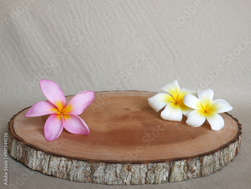 Asian tropical flowers on cut wood trunk photo