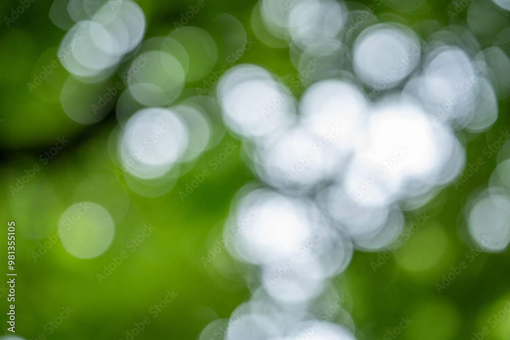 Obraz premium green bokeh background