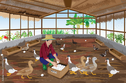 agriculturist is harvesting duck eggs.vector design