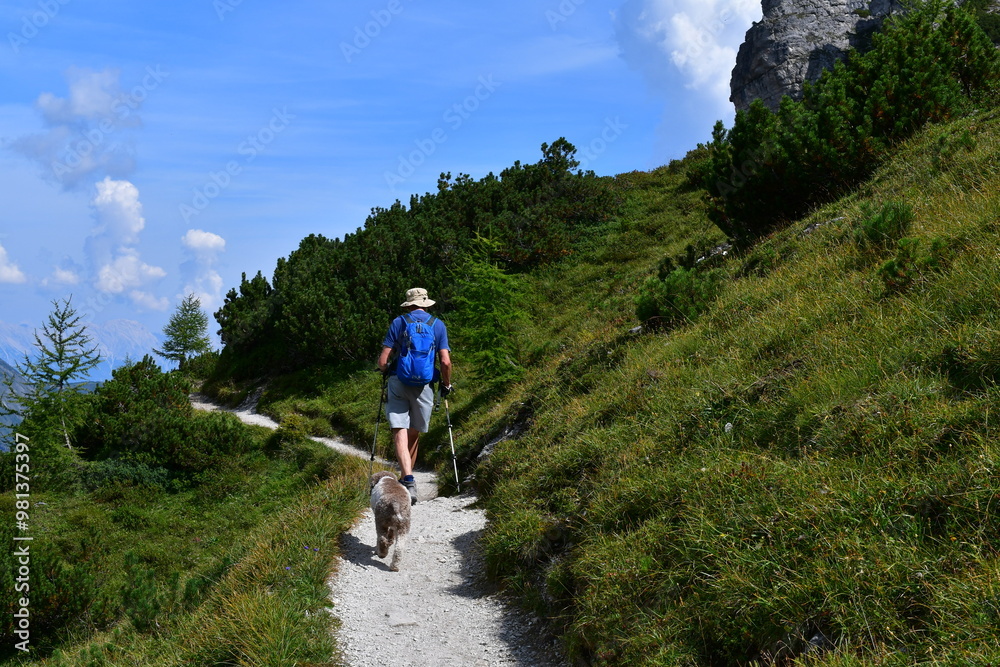 Mann und sein Lagotto Romagnolo Hund wandern im Stubaital Mann und sein Lagotto Romagnolo Hund wandern im Stubaital
