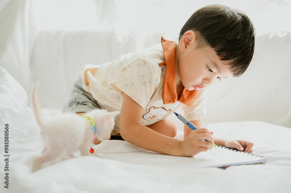 3 years old asian boy is drawing a picture of his cat in living room