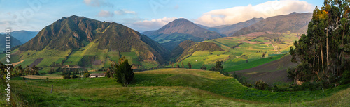 Andean landscape, cultivated fields