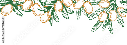 seamless border with sea buckthorn berries. vector frame in sketch style