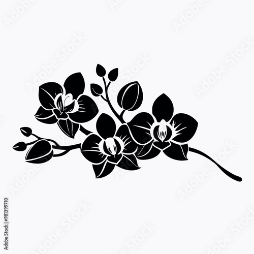 a black and white illustration of three orchid flowers. The flowers are arranged in a symmetrical pattern, with each flower having a unique shape and size 