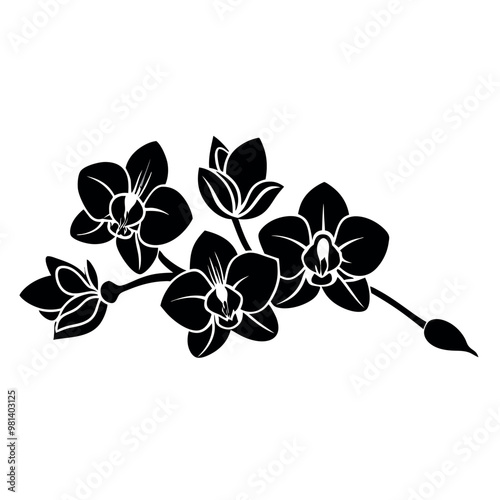 a black and white illustration of three orchid flowers. The flowers are arranged in a symmetrical pattern, with each flower having a unique shape and size 