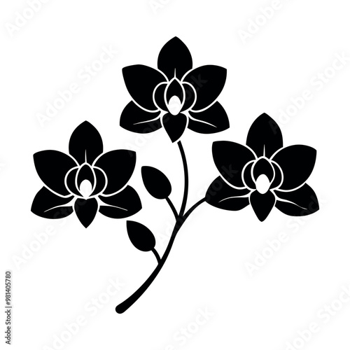 a black and white illustration of three orchid flowers. The flowers are arranged in a symmetrical pattern, with each flower having a unique shape and size 