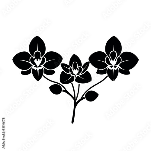 a black and white illustration of three orchid flowers. The flowers are arranged in a symmetrical pattern, with each flower having a unique shape and size 