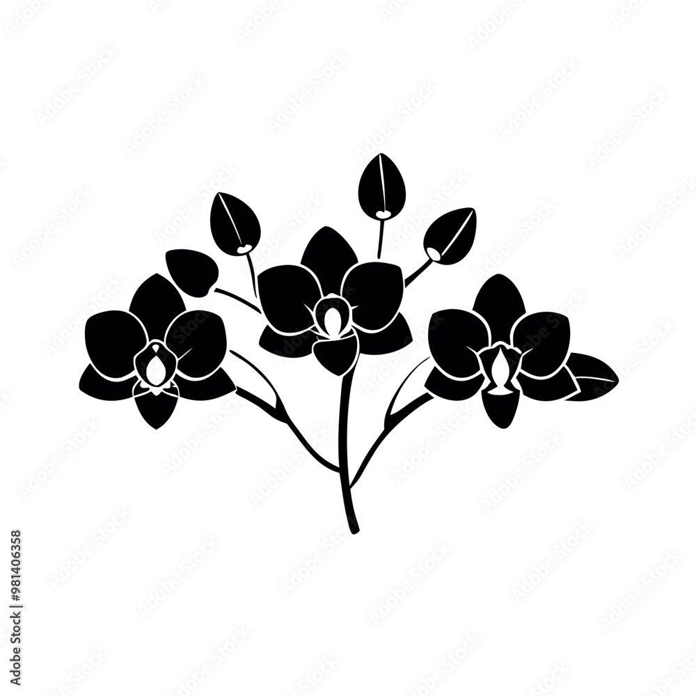 a black and white illustration of three orchid flowers. The flowers are arranged in a symmetrical pattern, with each flower having a unique shape and size a black and white illustration of three orchid flowers. The flowers are arranged in a symmetrical pattern, with each flower having a unique shape and size