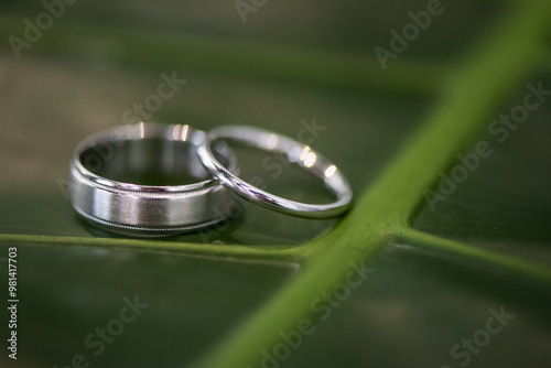 Fotografie pair of silver wedding rings on a green background