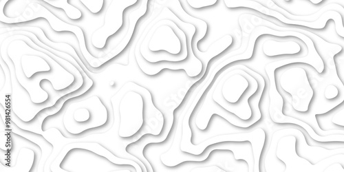 abstract Papercut with multi lines. geometric pattern on vector, Abstract soft white background with waves.