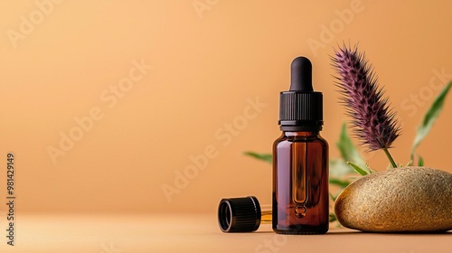 A small oil dropper bottle, photoshoot, minimalistic with a thistle branch and a rock, earthly feeling, photorealistic