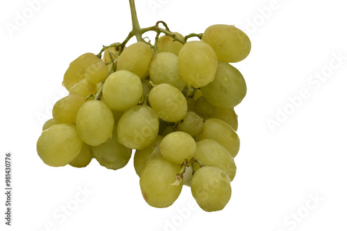 A bunch of ripe green grapes on a white background.