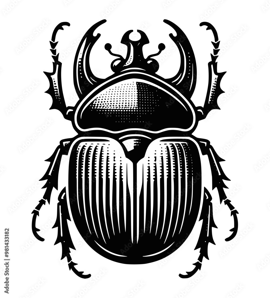 Fototapeta premium Beetle vector