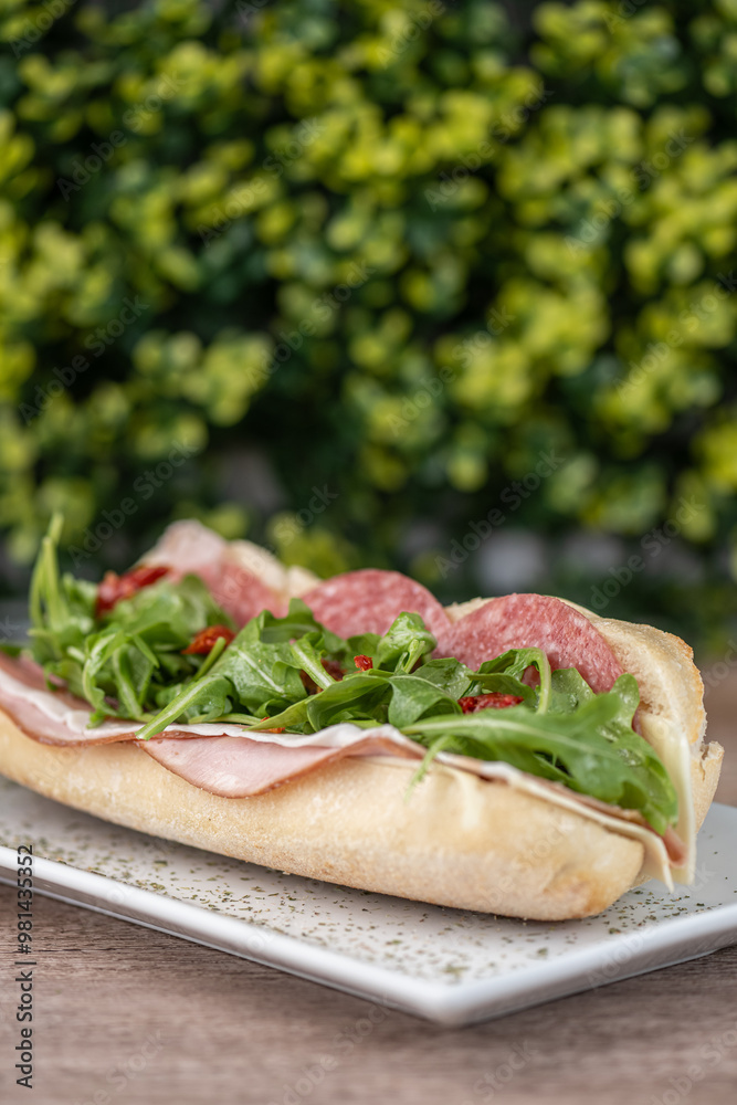 sandwich with salami ham and arugula