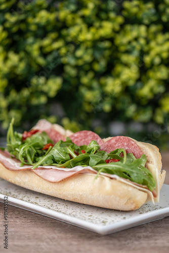 Obraz na płótnie sandwich with salami ham and arugula w salonie
