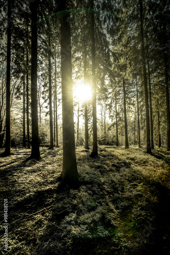 Cool pictures from the ardennes in Belgium