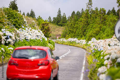 Road with flowers in Sete Cidade. Sao Miguel island, Azores, Portugal