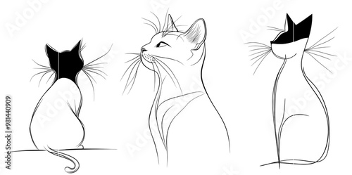 Continous line art illustration of a cat on a white background. Modern illustration of a black and white cat.