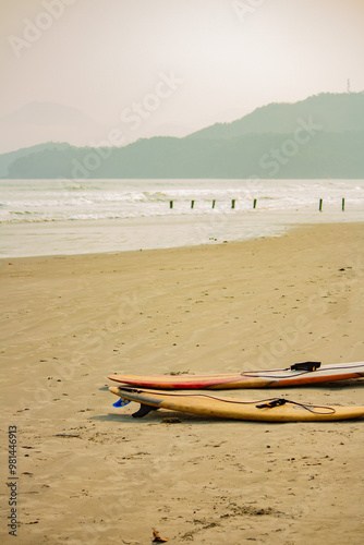 surfing the lifestyle