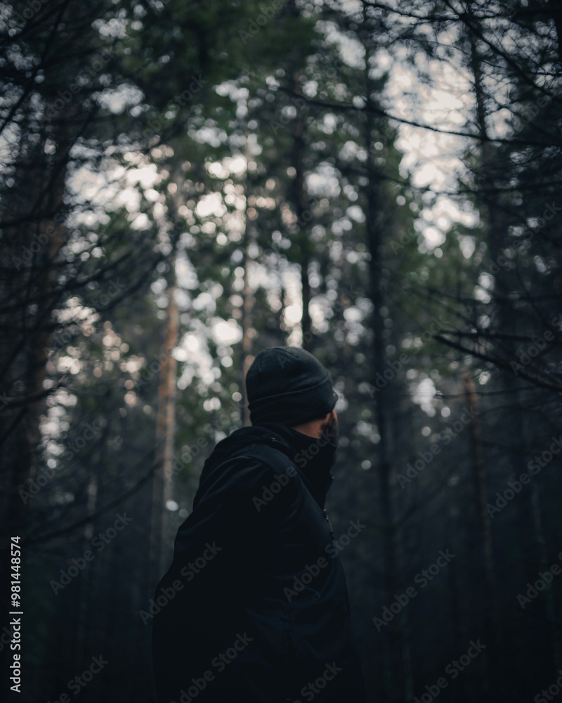 A man walks through a sunlit forest, his back to the camera. He moves along a mossy path, surrounded by tall trees. The scene captures solitude and serenity in the heart of nature A man walks through a sunlit forest, his back to the camera. He moves along a mossy path, surrounded by tall trees. The scene captures solitude and serenity in the heart of nature