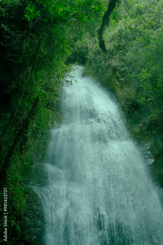 Waterfall in the Andes Mountains. Jardin, Jardín, Antioquia, Colombia. Waterfall in the Andes Mountains. Jardin, Jardín, Antioquia, Colombia.