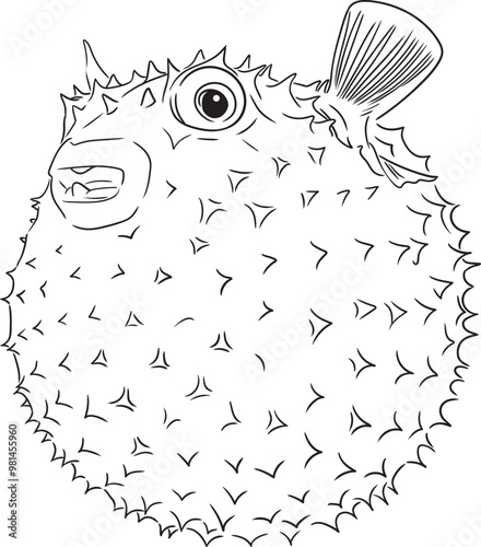 puffer fish bloated fishing illustration