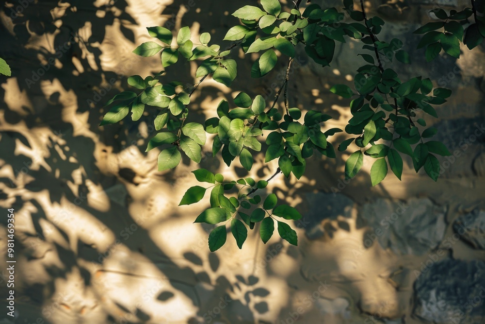 A green leafed plant grows on a stone wall, ideal for use in nature or architecture scenes A green leafed plant grows on a stone wall, ideal for use in nature or architecture scenes