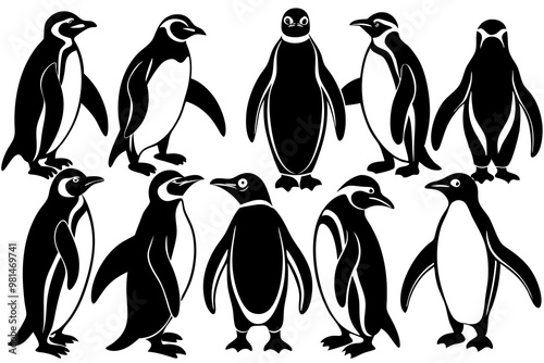 penguin vector,  silhouette  penguin, all different styles of penguin