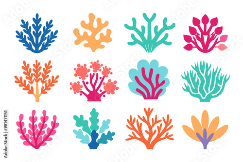 coral vector, colorful coral vector, all different styles of coral, sea creature