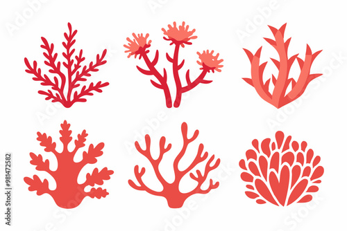 coral vector,  colorful-coral vector,  all different styles of coral, sea creature