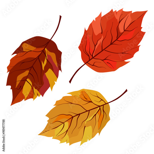 Vector autumn yellow and orange dry birch leaves. Flat illustration with brown plants for design