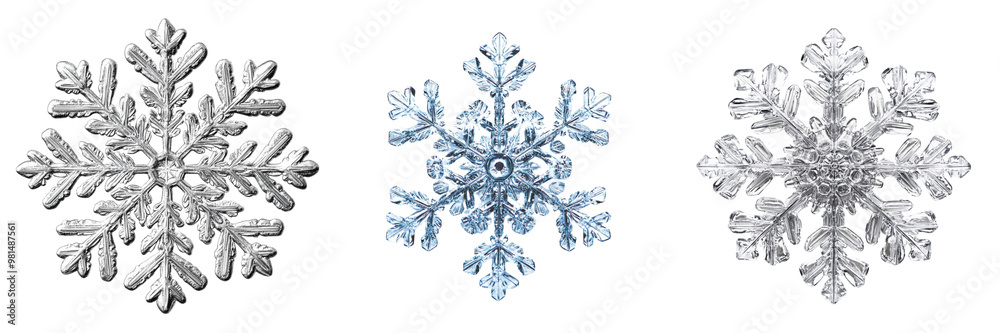 Set of a single snowflake, intricately detailed with its unique pattern isolated on transparent background Set of a single snowflake, intricately detailed with its unique pattern isolated on transparent background