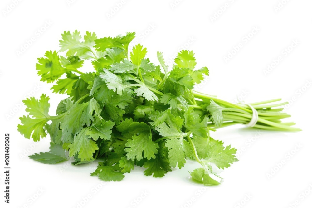 A close-up shot of a bunch of green leaves arranged on a white surface A close-up shot of a bunch of green leaves arranged on a white surface