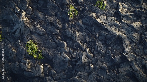 An overhead image of the surface of a recently cooled lava field.  photo